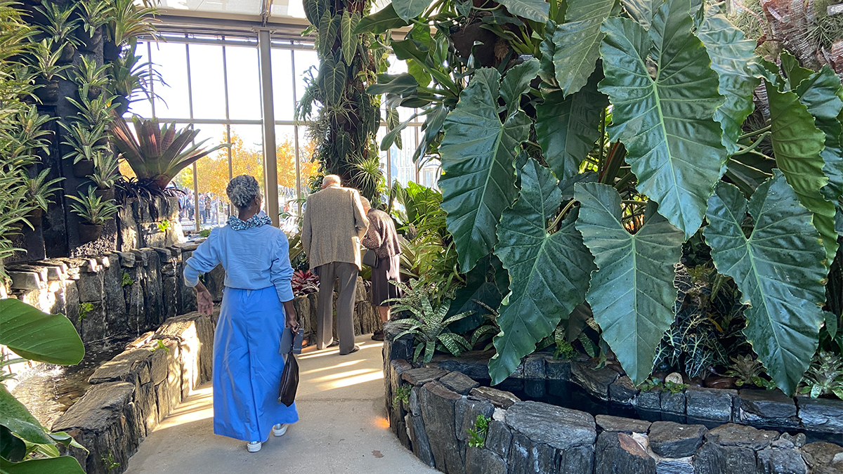 Longwood Gardens-Cascade Garden | TCLF